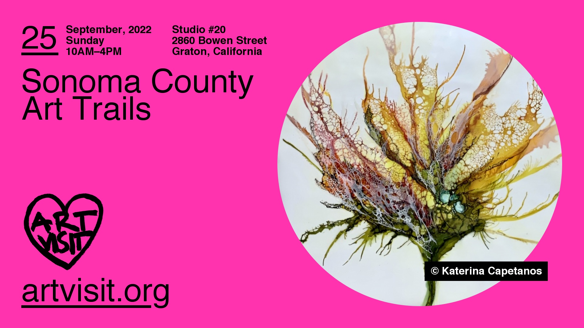 Sonoma County Art Trails